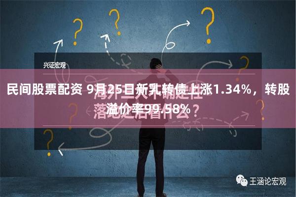 民间股票配资 9月25日新乳转债上涨1.34%，转股溢价率99.58%