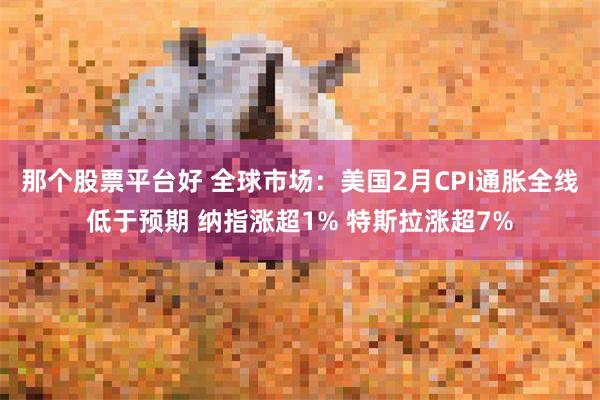 那个股票平台好 全球市场：美国2月CPI通胀全线低于预期 纳指涨超1% 特斯拉涨超7%