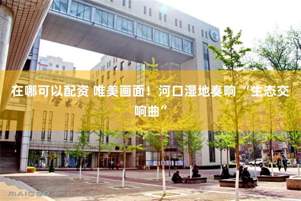 在哪可以配资 唯美画面！河口湿地奏响 “生态交响曲”