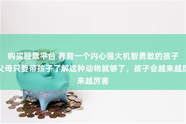 购买股票平台 养育一个内心强大机智勇敢的孩子，父母只要带孩子了解这种动物就够了，孩子会越来越厉害