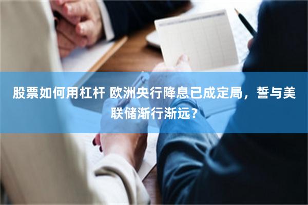 股票如何用杠杆 欧洲央行降息已成定局，誓与美联储渐行渐远？