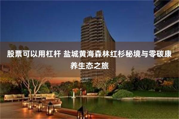 股票可以用杠杆 盐城黄海森林红杉秘境与零碳康养生态之旅