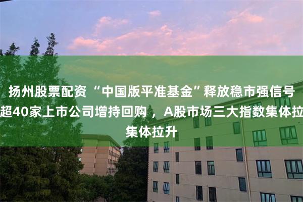 扬州股票配资 “中国版平准基金”释放稳市强信号！超40家上市公司增持回购 ，A股市场三大指数集体拉升