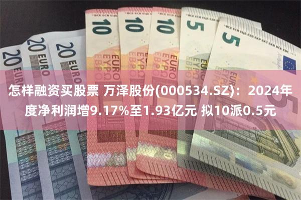 怎样融资买股票 万泽股份(000534.SZ)：2024年度净利润增9.17%至1.93亿元 拟10派0.5元