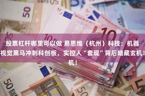 股票杠杆哪里可以做 易思维（杭州）科技：机器视觉黑马冲刺科创板，实控人“套现”背后暗藏玄机！