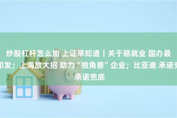 炒股杠杆怎么加 上证早知道｜关于稳就业 国办最新印发；上海放大招 助力“独角兽”企业；比亚迪 承诺兜底