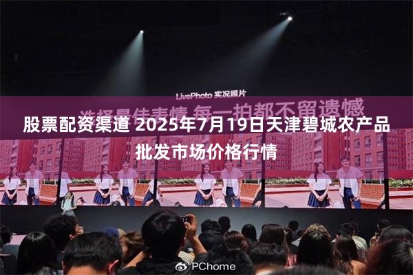 股票配资渠道 2025年7月19日天津碧城农产品批发市场价格行情