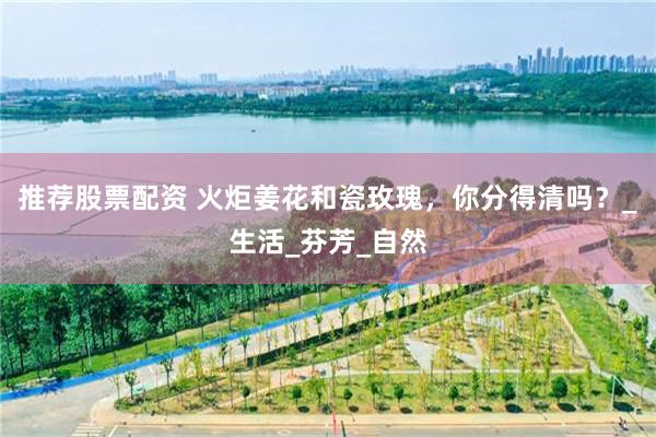 推荐股票配资 火炬姜花和瓷玫瑰，你分得清吗？_生活_芬芳_自然