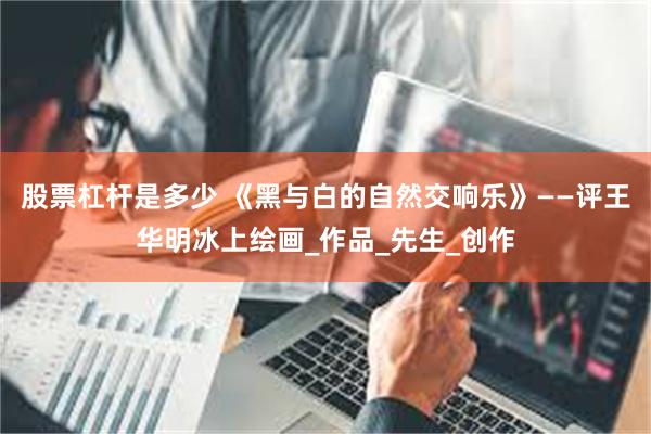 股票杠杆是多少 《黑与白的自然交响乐》——评王华明冰上绘画_作品_先生_创作