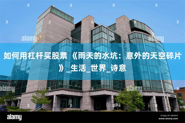 如何用杠杆买股票 《雨天的水坑：意外的天空碎片》_生活_世界_诗意