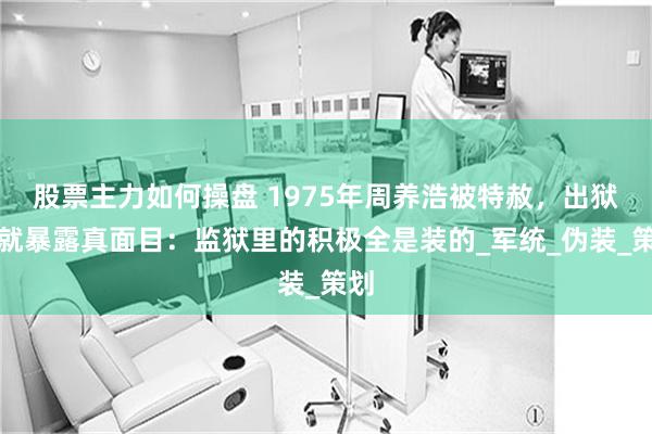 股票主力如何操盘 1975年周养浩被特赦，出狱后就暴露真面目：监狱里的积极全是装的_军统_伪装_策划