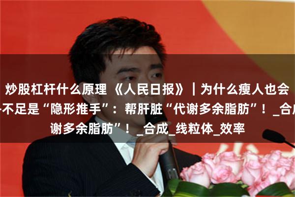 炒股杠杆什么原理 《人民日报》︱为什么瘦人也会血脂高？NAD+不足是“隐形推手”：帮肝脏“代谢多余脂肪”！_合成_线粒体_效率