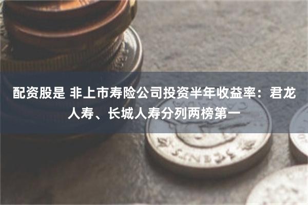 配资股是 非上市寿险公司投资半年收益率：君龙人寿、长城人寿分列两榜第一