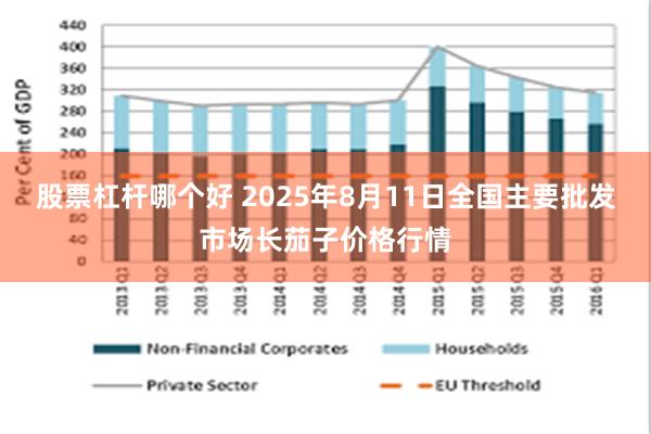 股票杠杆哪个好 2025年8月11日全国主要批发市场长茄子价格行情